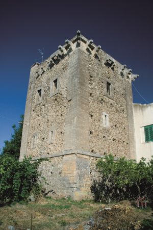 torrenova00