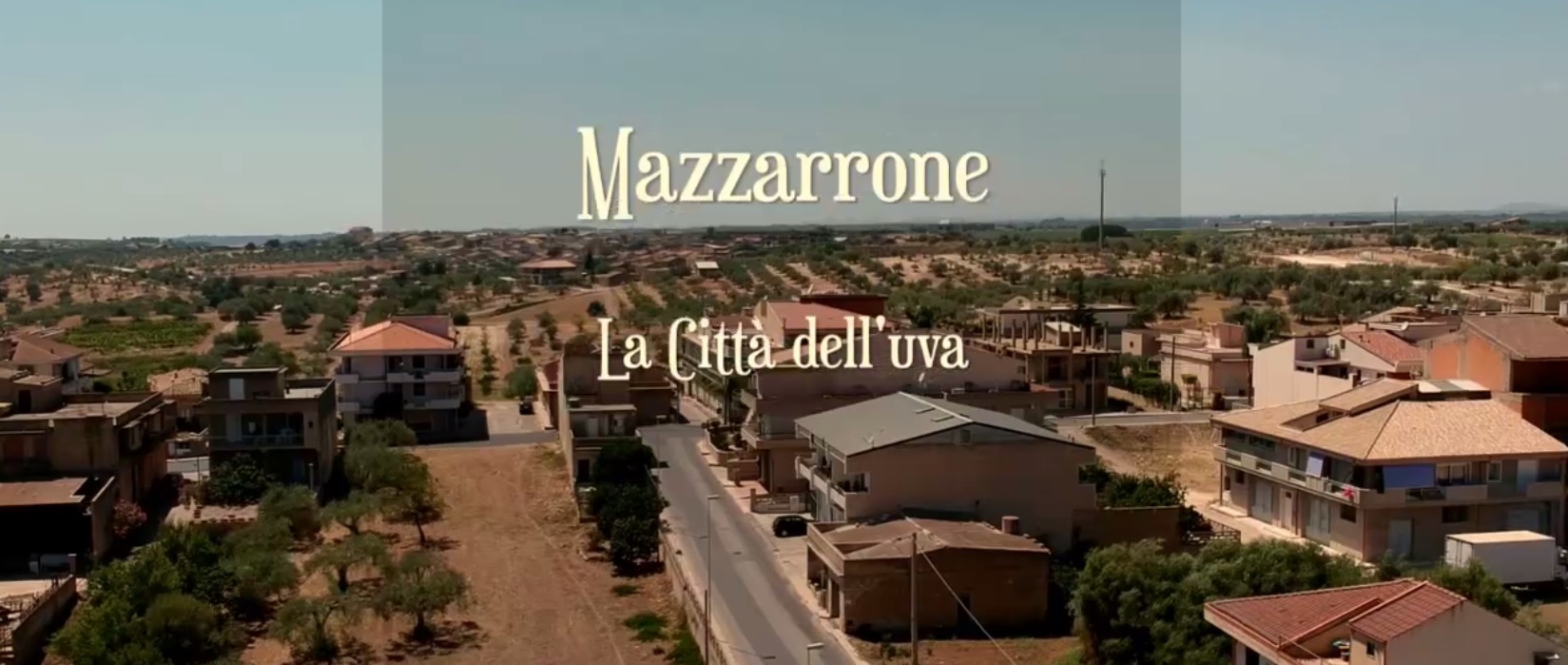 mazzarrone - documentario - uva