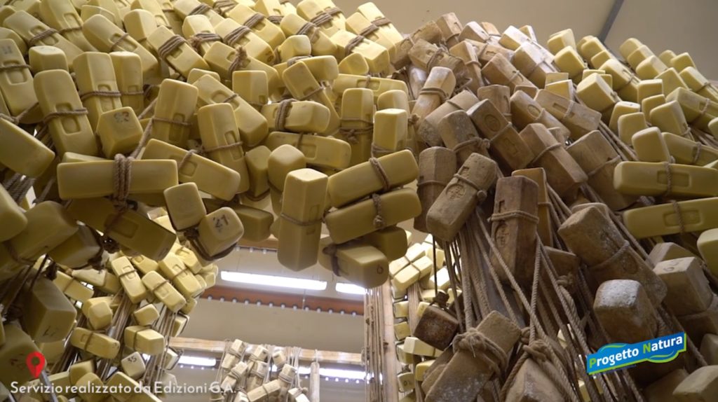 Progetto Natura - Ragusa