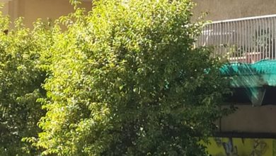 via Archimede - Ragusa