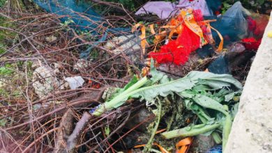 rifiuti - mercato - mercoledì - contrada Selvaggio - Ragusa in Movimento - Ragusa