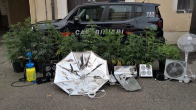 coltivazione marijuana - santa croce camerina