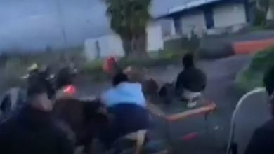 corsa cavalli catania