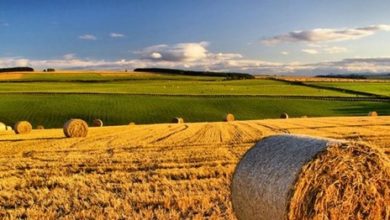 agricoltura - energia