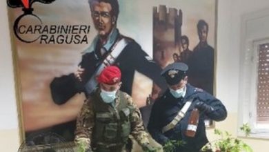 piantagione canapa - chiaramonte gulfi