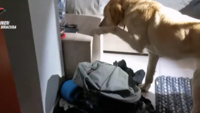 operazione algeri - siracusa