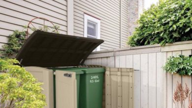 ragusa - premio - decoro