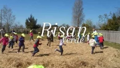 gruppo risan
