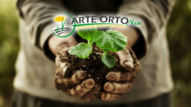 ragusa - bio - arte orto new