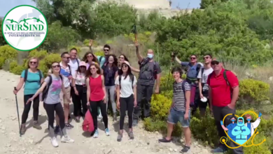 giornata internazionale degli infermieri - nursind