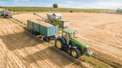 sicilia - agricoltura - progetti