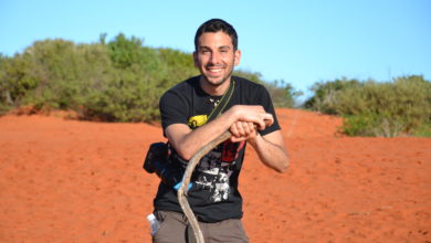 sicilia - giulio stracquadanio