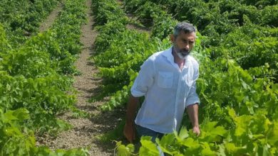 Marco Pallavicino lancia il nuovo punto vendita a Marina di Ragusa