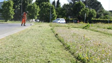 ragusa - giardinieri