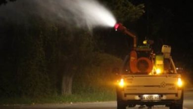 Modica - disinfestazione