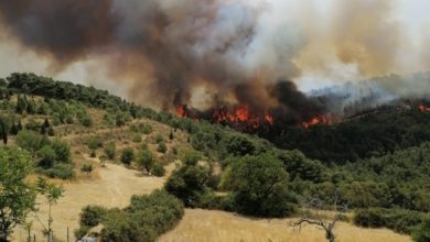 incendio - calaforno