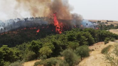 incendio calaforno
