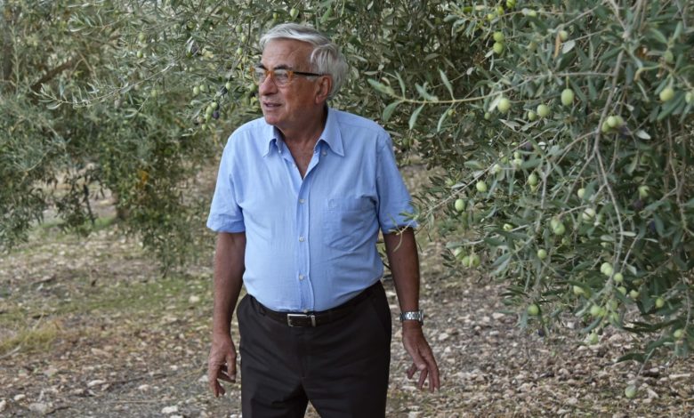 olio - raccolta olive