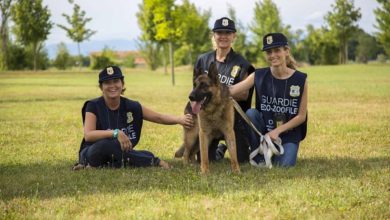 sicilia - oipa - guardie zoofile