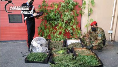 droga - agricoltore vittoriese