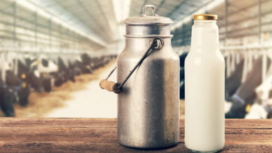 latte - allevatori ragusani