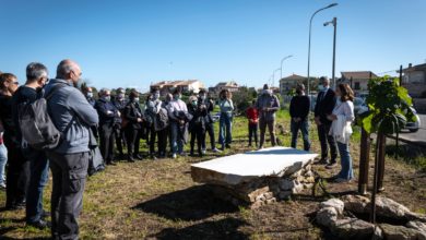 ragusa - andrea carnesecca