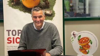 arancia rossa - sicilia