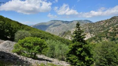 zone franche montane