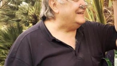 pozzallo - luigi losi - hering