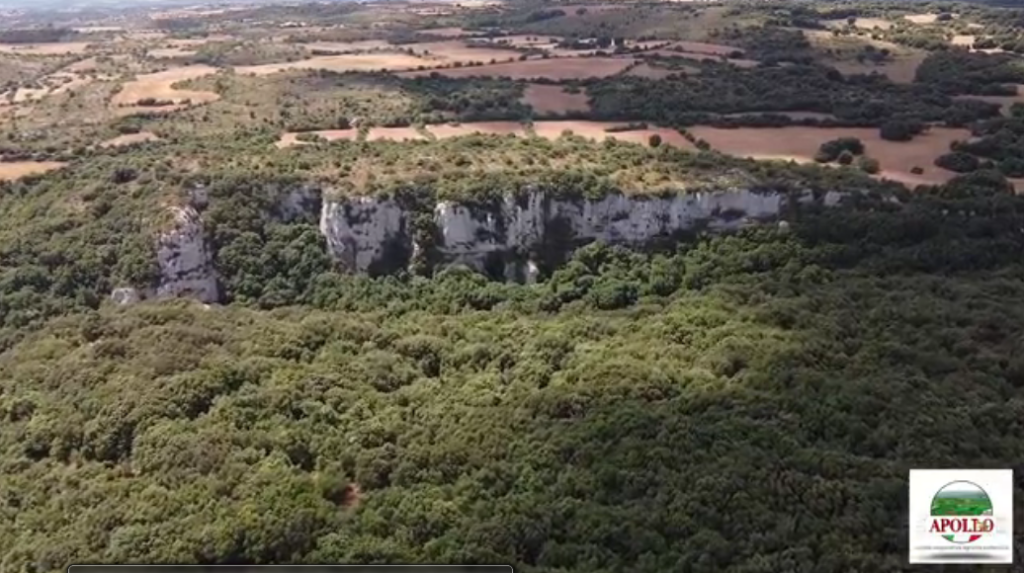 APOLLO SOC.COOPERATIVA - PALAZZOLO ACREIDE