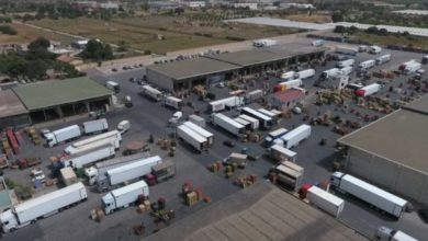 mercato ortofrutticolo - vittoria