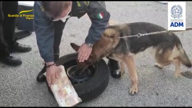 malta - porto di pozzallo