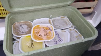 mensa scolastica - modica