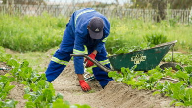 ragusa - operai agricoli - florovivaisti