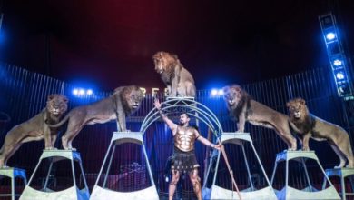 circo sandra orfei - ragusa