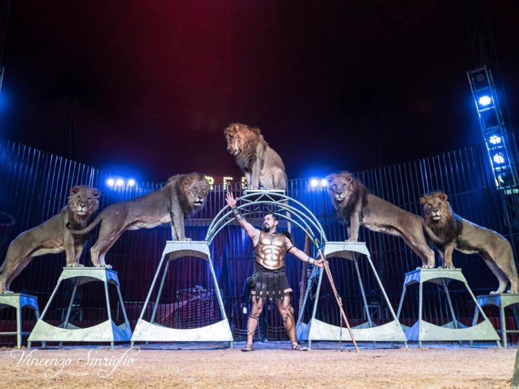 circo sandra orfei - ragusa