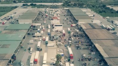 mercato ortofrutticolo - vittoria