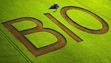 sicilia - agricoltori - allevatori