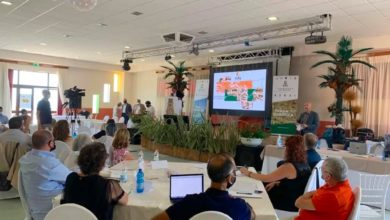 Bonus Sicilia - imprese