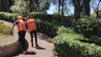 Caltagirone - Reddito di cittadinanza