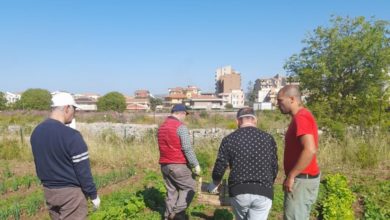orto sociale - Modica