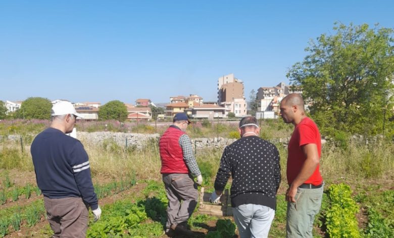 orto sociale - Modica 