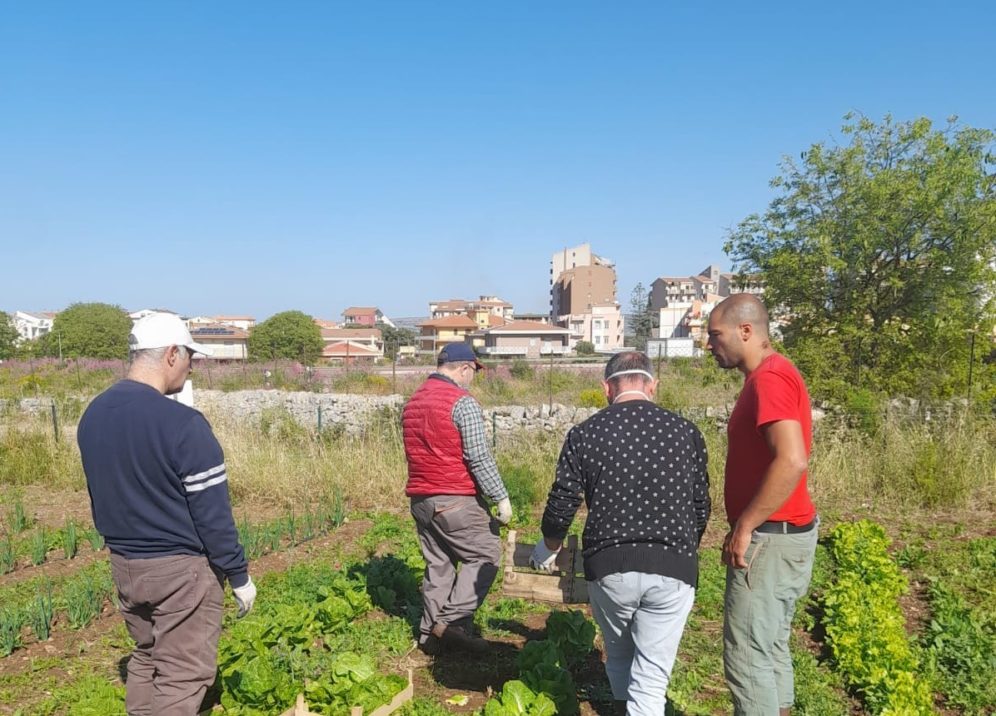 orto sociale - Modica 