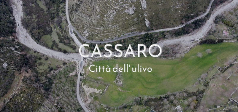 Cassaro - ulivo