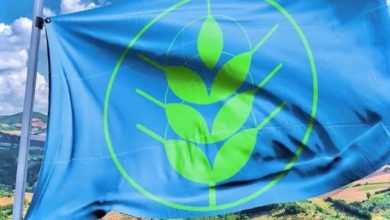 Spiga Verde - Ragusa