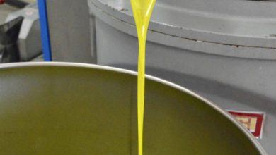 Olio dop Monti iblei