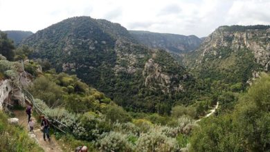 Parco nazionale degli Iblei