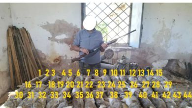 bracconaggio - Sicilia: