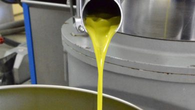 Olio Dop Monti Iblei