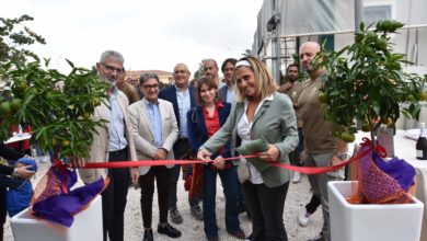 sartoria sociale proxima